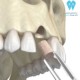 (دندانپزشکی تخصصی دکتر مهرداد نقشینه)